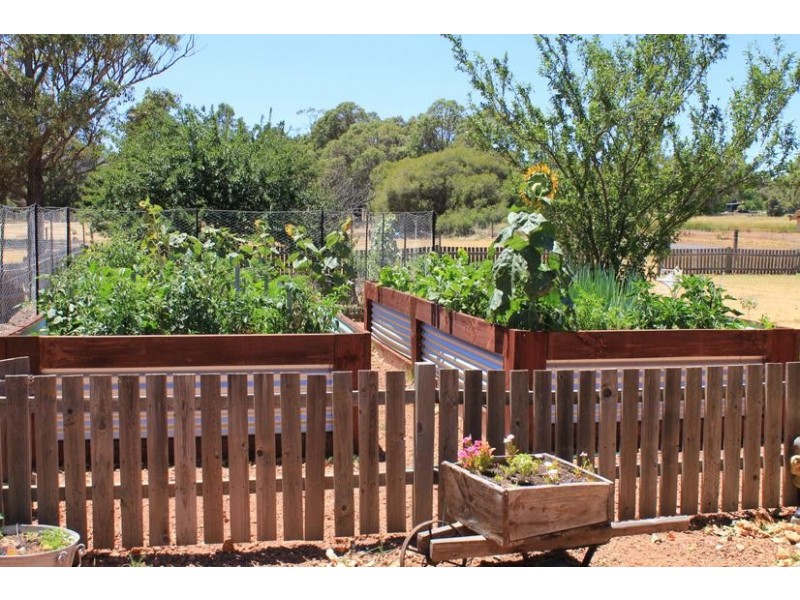 59 Patterson Road, Waroona WA 6215