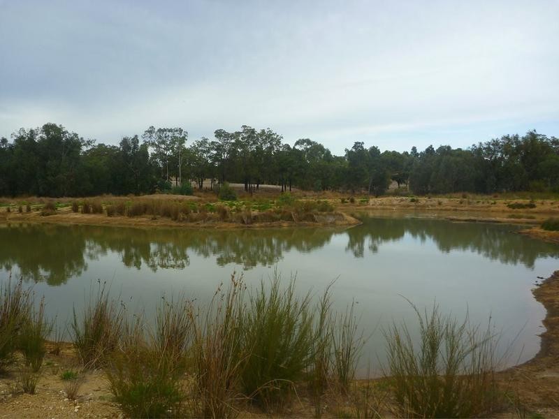 102 Vezey Road, Meelon WA 6208