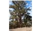 Lot 57 Twin Bridges Place, Boddington WA 6390