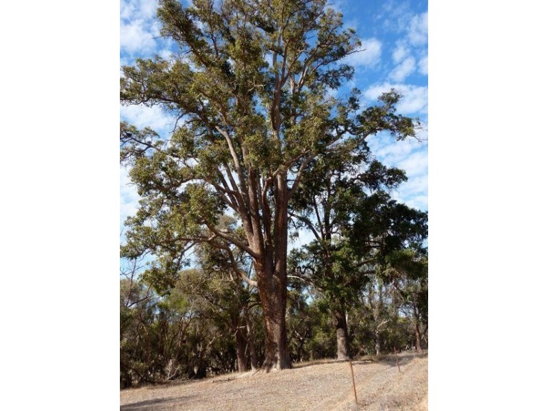 Lot 57 Twin Bridges Place, Boddington WA 6390