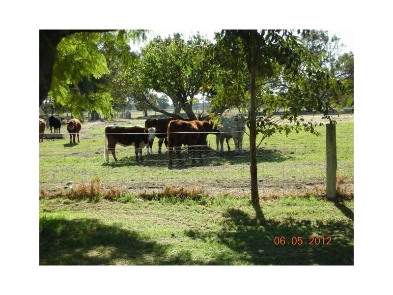 Lot 6 South West Highway, Coolup WA 6214