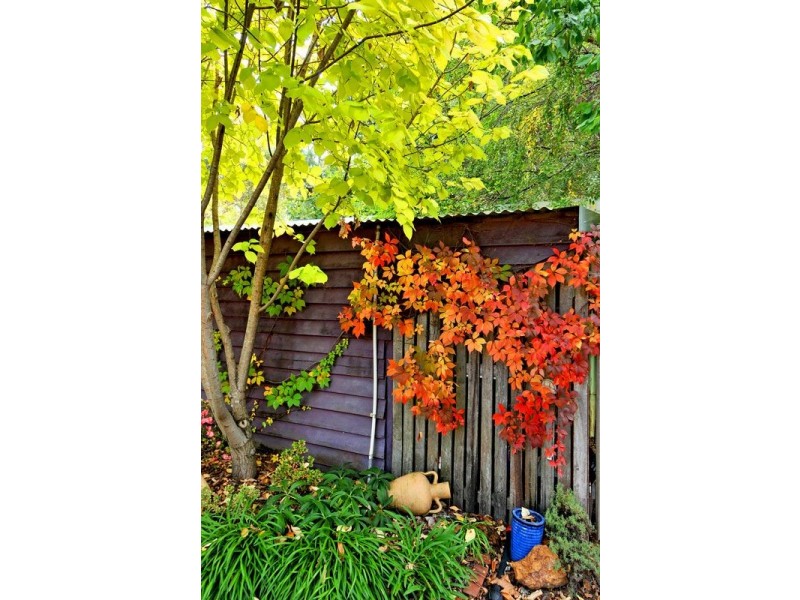 11 Banksiadale Road, Dwellingup WA 6213