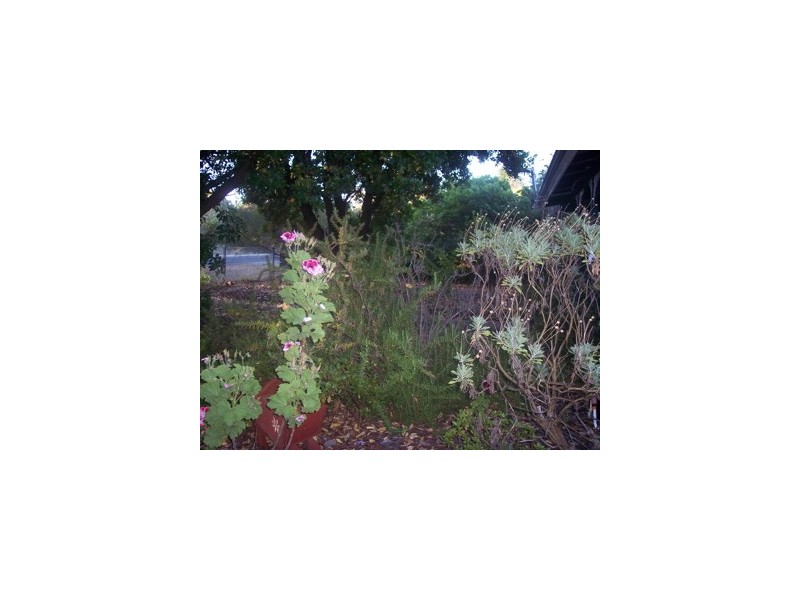 8 Church Street, Dwellingup WA 6213