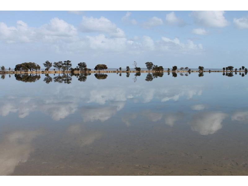 28 Wellya Crescent, South Yunderup WA 6208