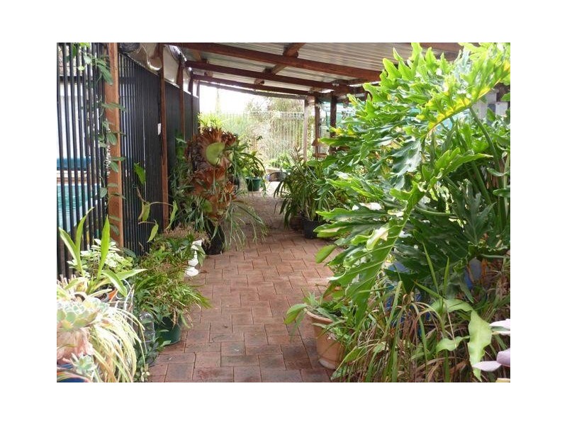 31 Adam Street, Boddington WA 6390