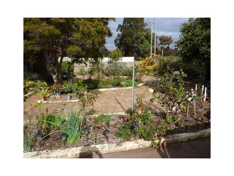 31 Adam Street, Boddington WA 6390