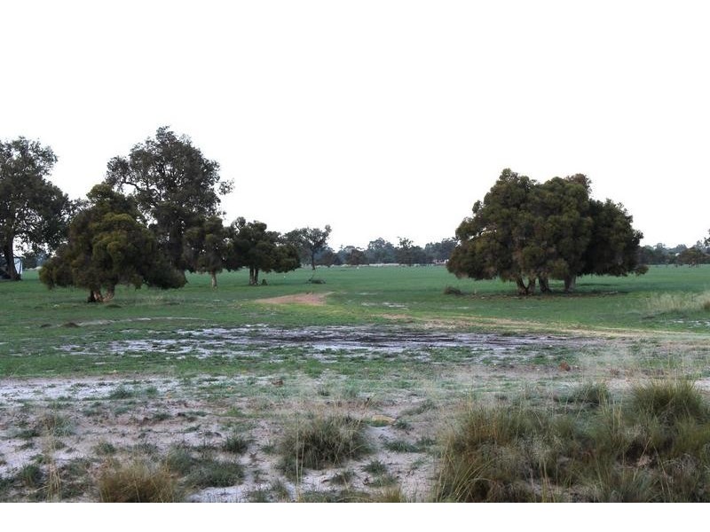 250 Beacham Road, Pinjarra WA 6208