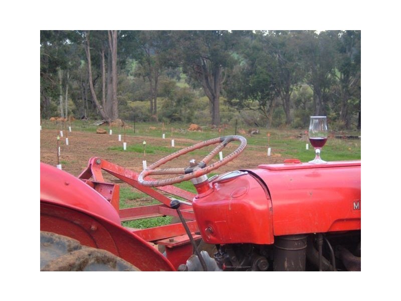 137 Castlerock Way, Boddington WA 6390