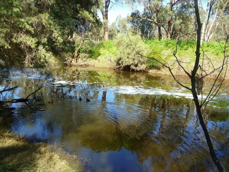 18 Paterson Road, Pinjarra WA 6208