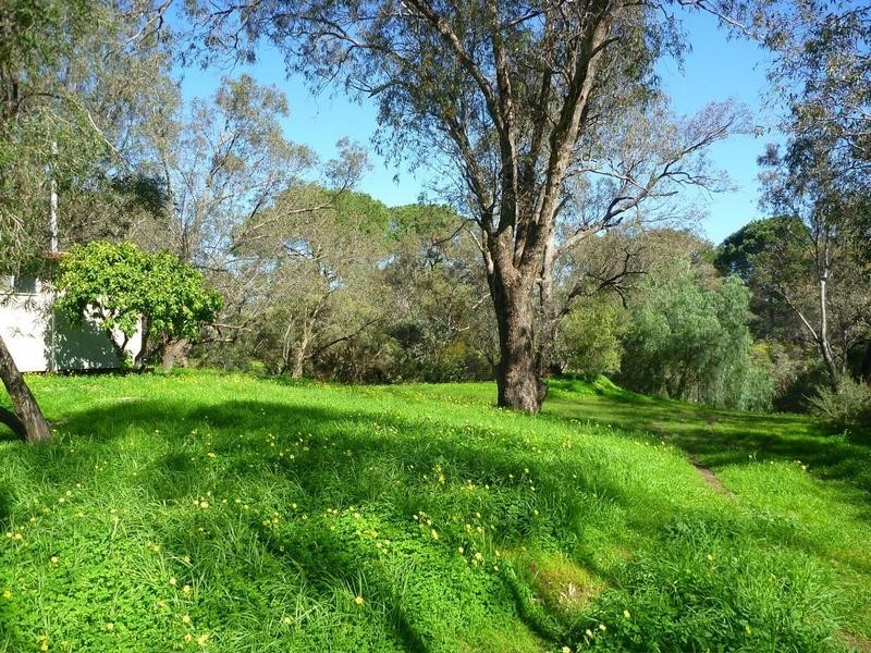 18 Paterson Road, Pinjarra WA 6208