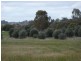 Lot 59, Lot Twin Bridges Place, Boddington WA 6390