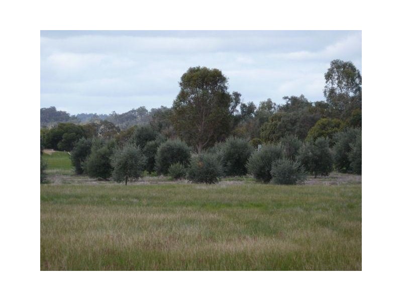 Lot 59, Lot Twin Bridges Place, Boddington WA 6390