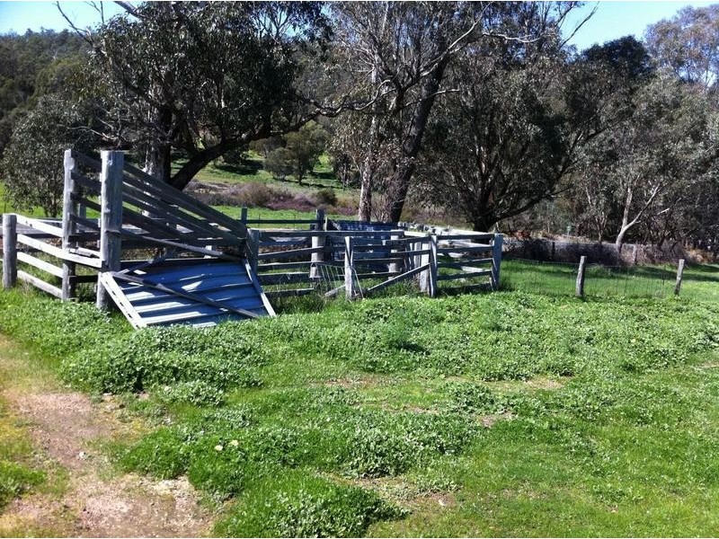 Lot 3 Pinjarra Williams Road, Dwellingup WA 6213