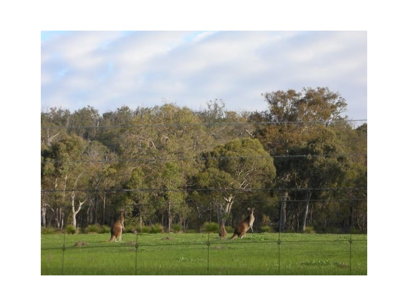 Lot 577/11 Marrinup Road, Teesdale WA 6213