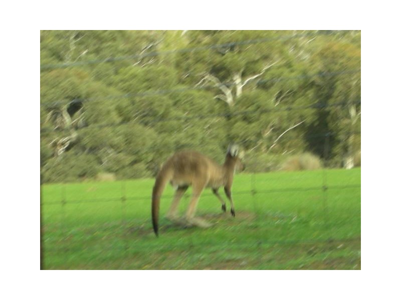 Lot 577/11 Marrinup Road, Teesdale WA 6213