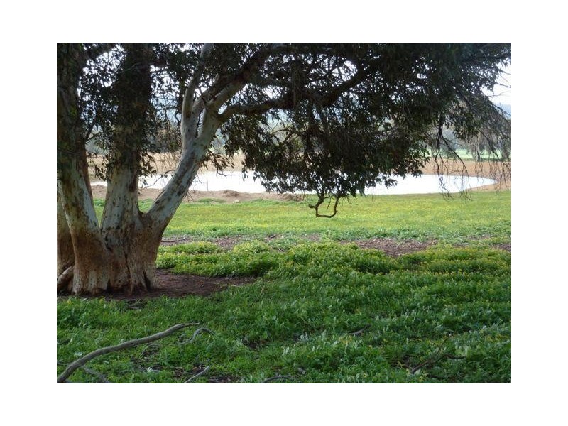 Lot 60 Crossman/Dwarda Road, Boddington WA 6390