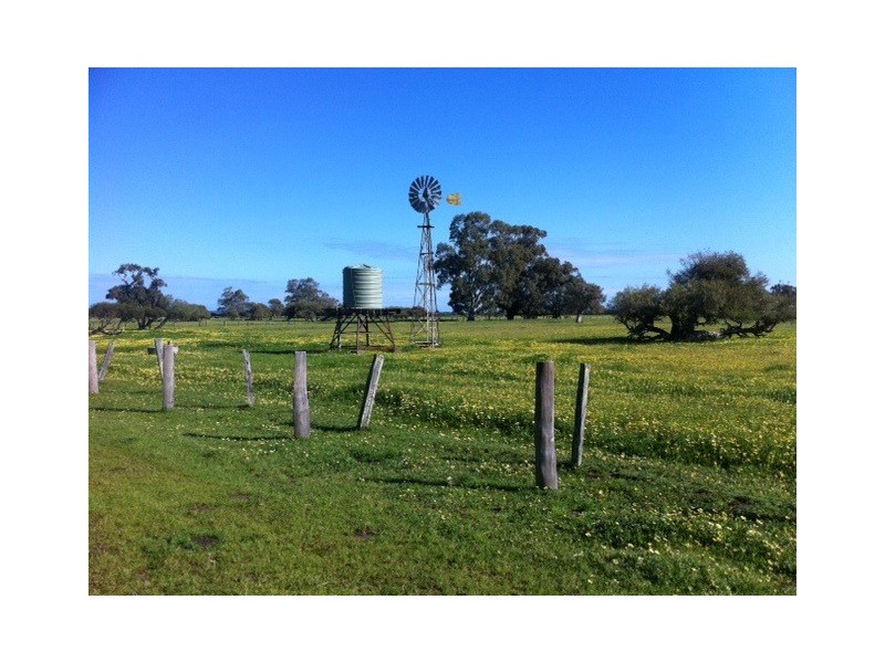 Lot 20 Coles Road, Waroona WA 6215