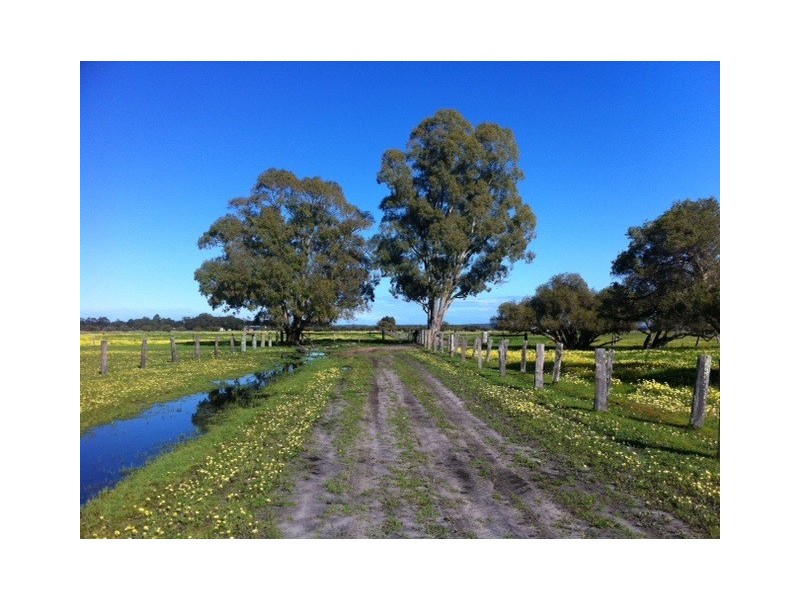 Lot 20 Coles Road, Waroona WA 6215