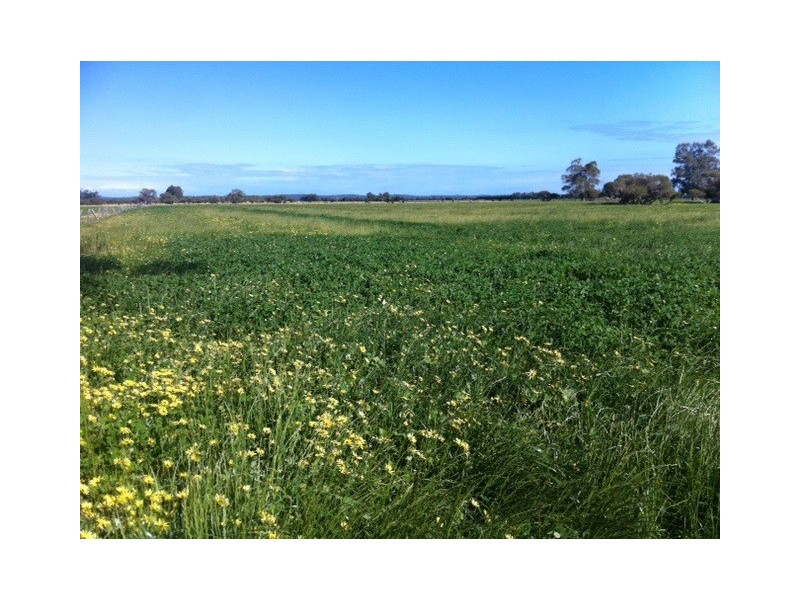 Lot 20 Coles Road, Waroona WA 6215