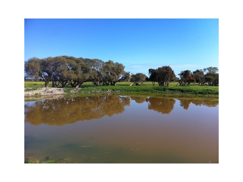 Lot 20 Coles Road, Waroona WA 6215