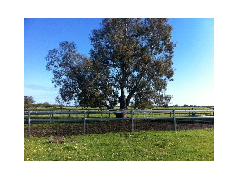 Lot 20 Coles Road, Waroona WA 6215