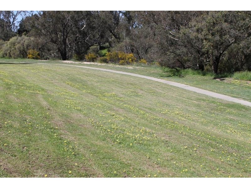 12 Kirkham Street, Pinjarra WA 6208