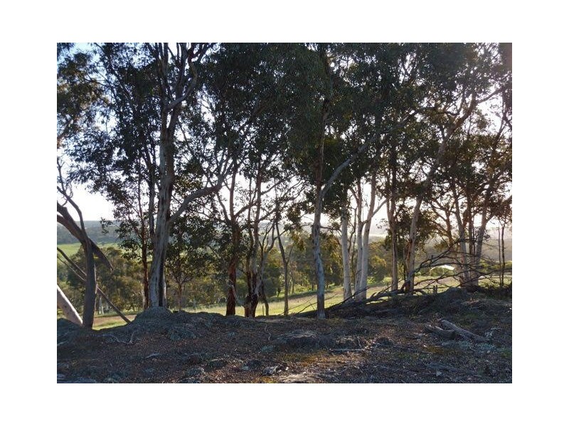 Lot 102 Mistletoe View, Boddington WA 6390