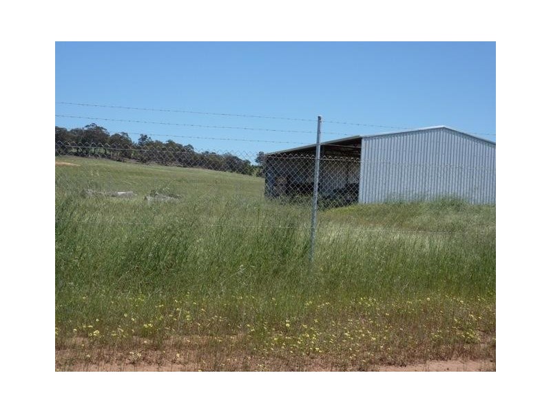 8 Wandering-Pingelly Road, Wandering WA 6308