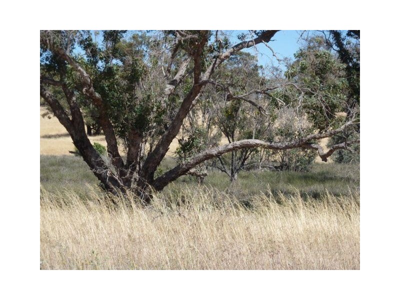 Lot 18 Knight Road, Wandering WA 6308