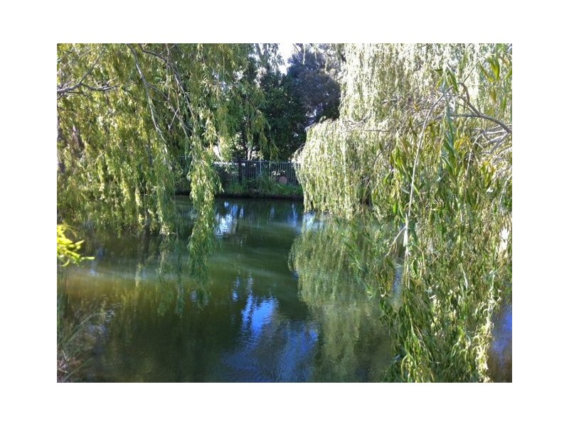 62 Gulliver road, Waroona WA 6215