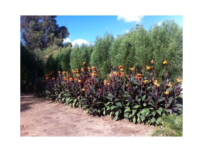 62 Gulliver road, Waroona WA 6215