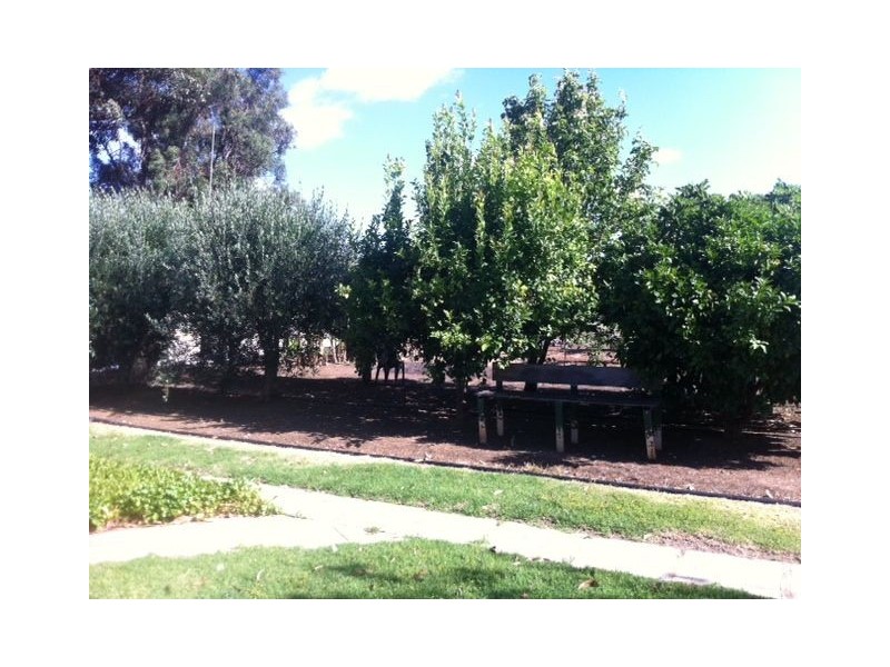 62 Gulliver road, Waroona WA 6215