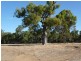 Lot 66 Mitchell Crescent, Boddington WA 6390