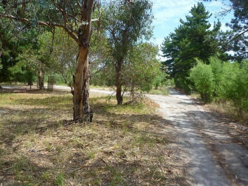 84 Ronlyn Road, Furnissdale WA 6209