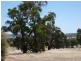 Lot 61 Crossman Road, Boddington WA 6390