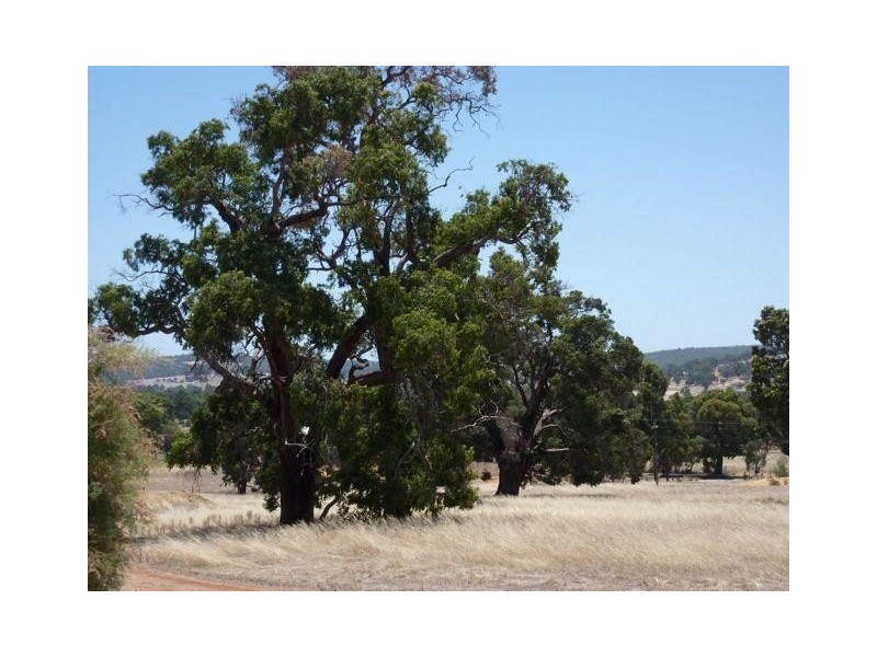 Lot 61 Crossman Road, Boddington WA 6390