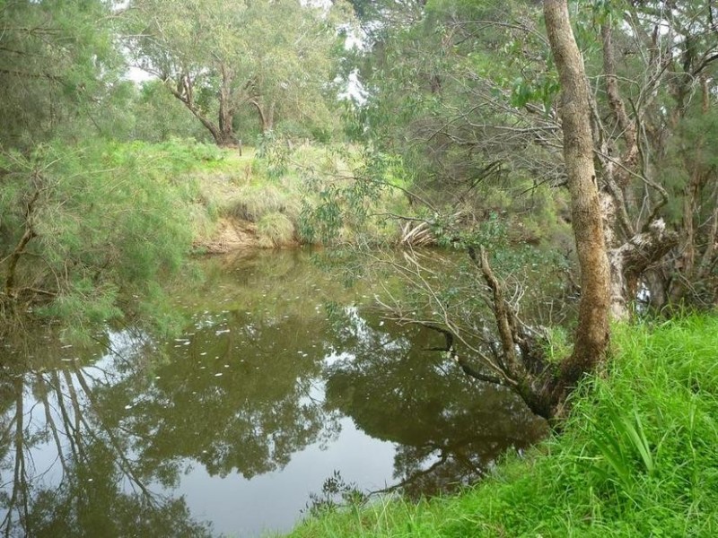 18 Paterson Road, Pinjarra WA 6208