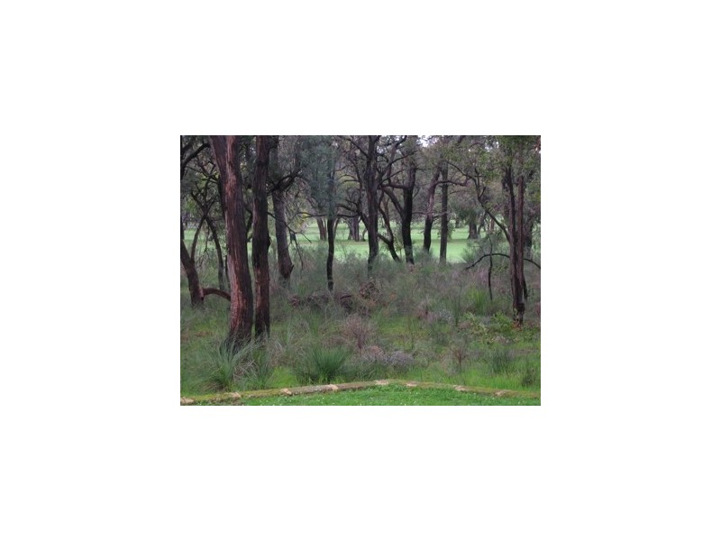 22 Russell Drive, Waroona WA 6215