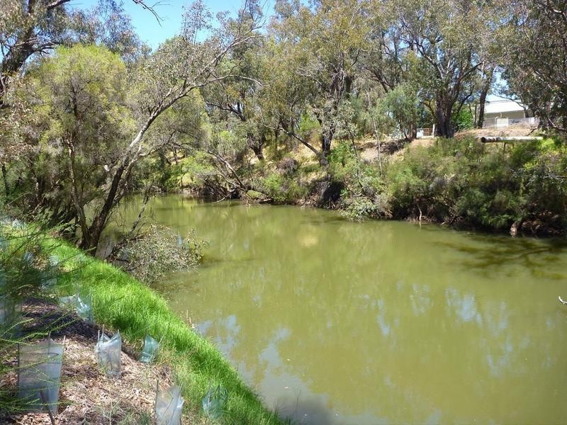 19 Birmingham Way, Pinjarra WA 6208