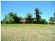 19 Birmingham Way, Pinjarra WA 6208
