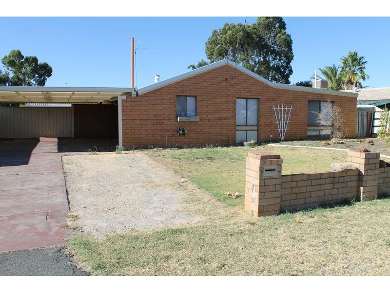 3 Pimelia Place, Pinjarra WA 6208