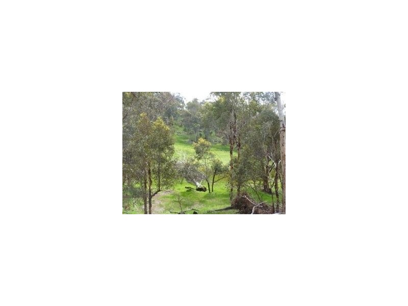 Lot 64 Crossman/Dwarda Road, Boddington WA 6390