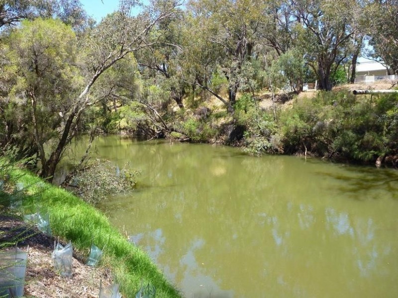 19 BIRMINGHAM WAY, Pinjarra WA 6208