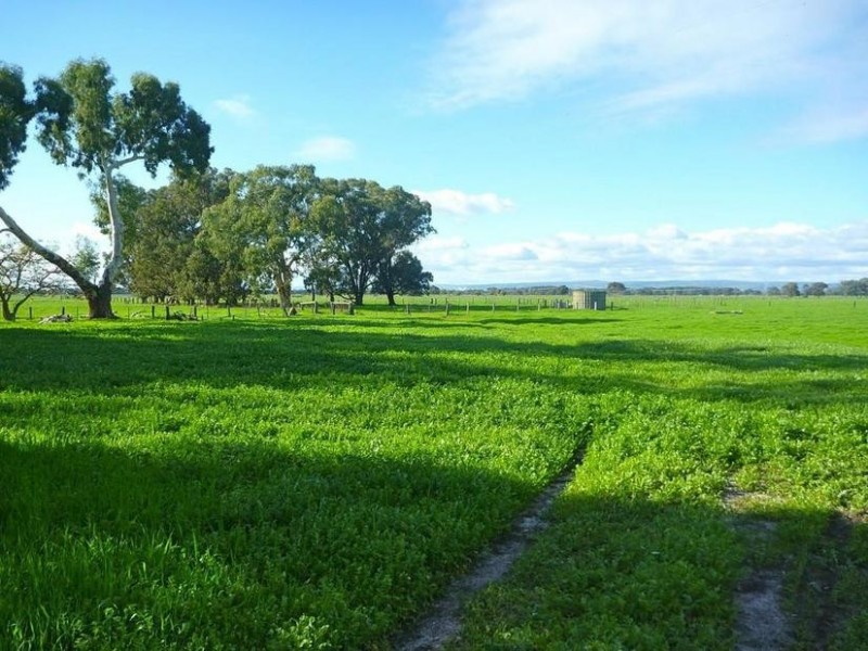 495 Old Bunbury Road, Blythewood, Pinjarra WA 6208