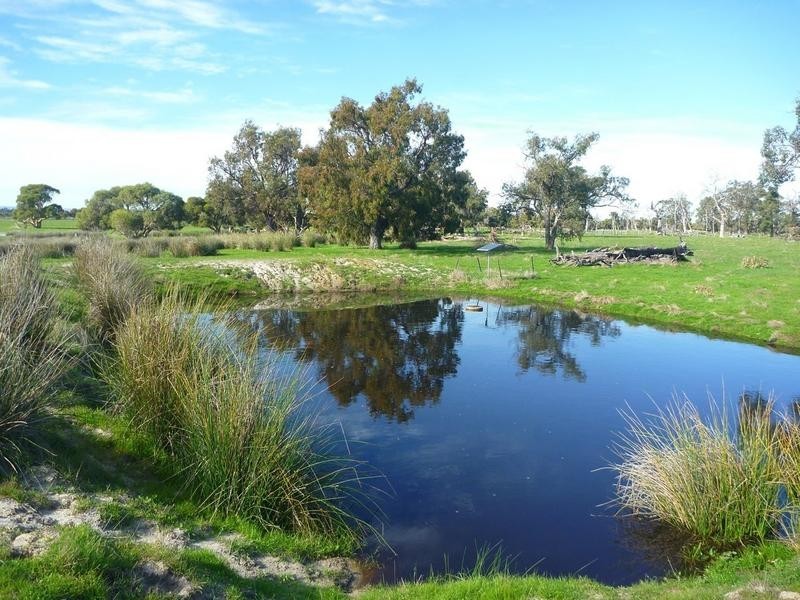 128 Daudson Road, Nirimba, Pinjarra WA 6208