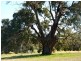 Lot 61 Crossman Road, Boddington WA 6390