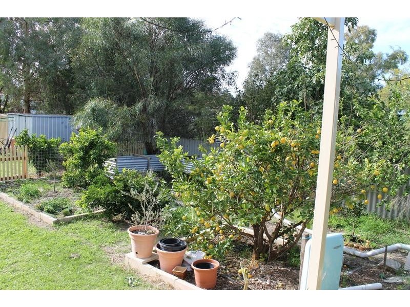 10 Jubilee Drive, Pinjarra WA 6208