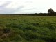 816 Burney Road, Yarloop WA 6218