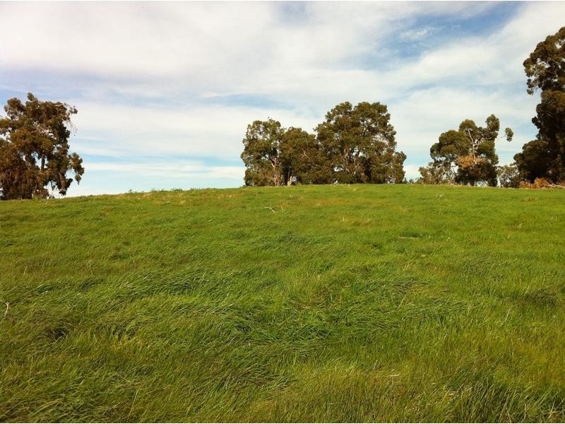 816 Burney Road, Yarloop WA 6218
