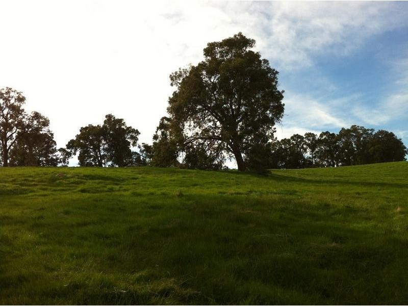 816 Burney Road, Yarloop WA 6218